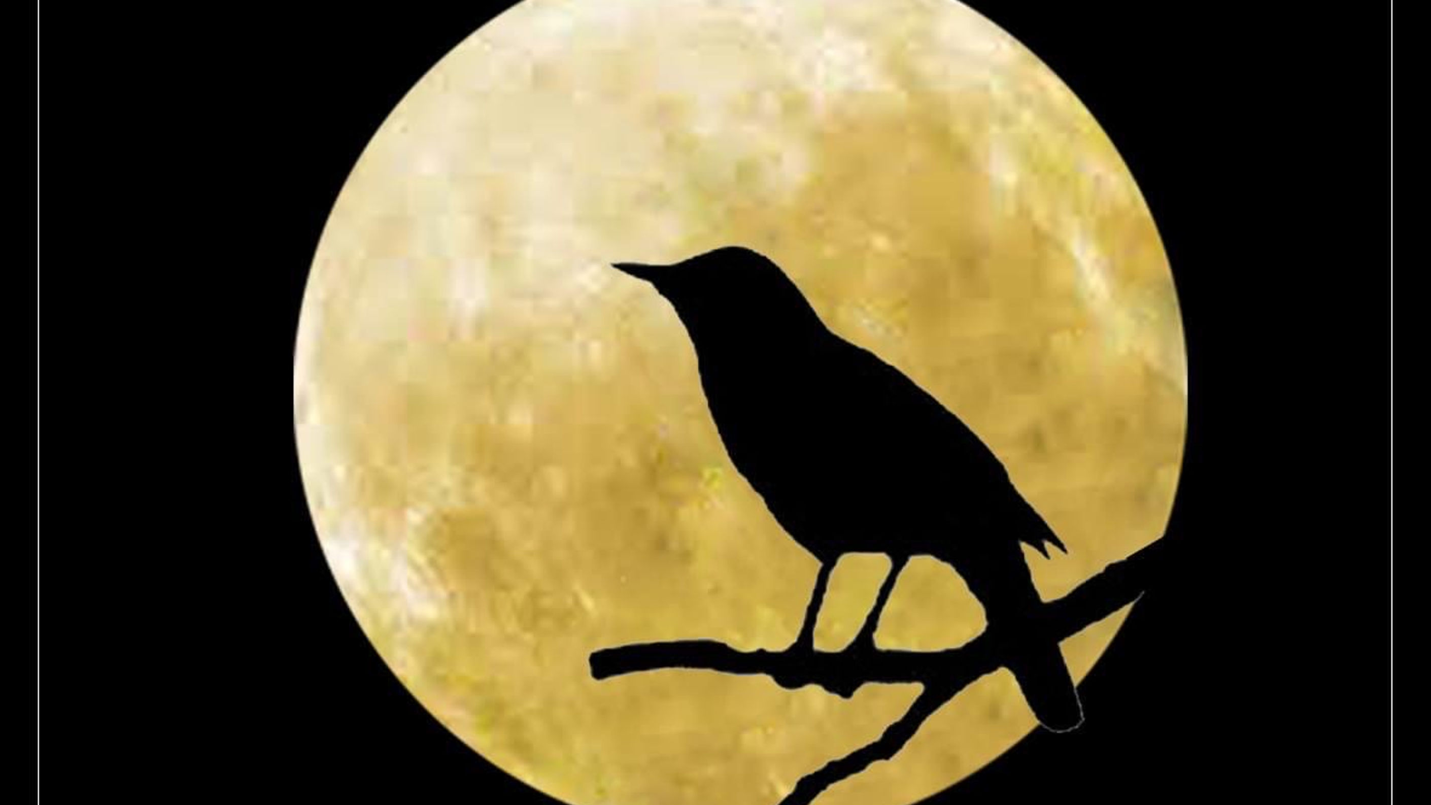 Nightingales and Morphine - Dark Sacred Night